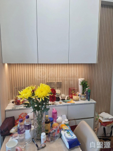 177079202644c3d3cd-a545-4a56-b52d-ceea7b94262e.jpeg 泓碧 5座 - 28NTS – 香港北部都會區