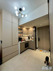 17707921961d0fb36a-8127-4345-ae64-5e2b87ab034e.jpeg SILICON HILL UNIVERSITY HILL 2B期 優景閣 第2座 - 28NTS – 香港北部都會區