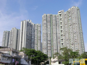 1770792696c43b9814-3024-46b2-ac4d-4714fb05ed6d.jpeg 頌雅苑 頌真閣 (A座) - 28NTS – 香港北部都會區