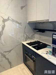 17707931412d6b180e-1ecb-457d-9502-4823a81a8464.jpeg SILICON HILL 1期 翠景閣 第1座 - 28NTS – 香港北部都會區