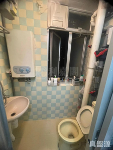 17707932679f91f763-97cd-4674-9e7a-00a0cc4957fd.jpeg 錦禧苑 錦歡閣 (A座) - 28NTS – 香港北部都會區