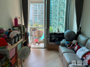 17707943009b715bc0-1958-4062-97af-7717c7a03a69.jpeg 逸瓏灣8 2座 - 28NTS – 香港北部都會區