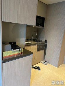 177079484240d14745-54dd-4d1f-a6e0-dbad3e18dc4f.jpeg 柏傲莊 2期 7座 (7A) - 28NTS – 香港北部都會區