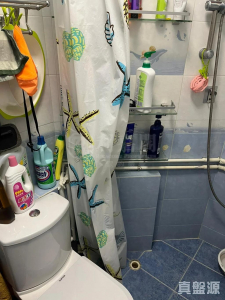 1770795190249699fc-2cf4-4522-bd3d-db3cad8e79ef.jpeg 頌雅苑 頌真閣 (A座) - 28NTS – 香港北部都會區