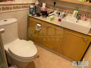 177079533100f3d943-3f75-404e-a466-7dcce73ba7d7.jpeg 新港城 5期 海濤居 3座 - 28NTS – 香港北部都會區