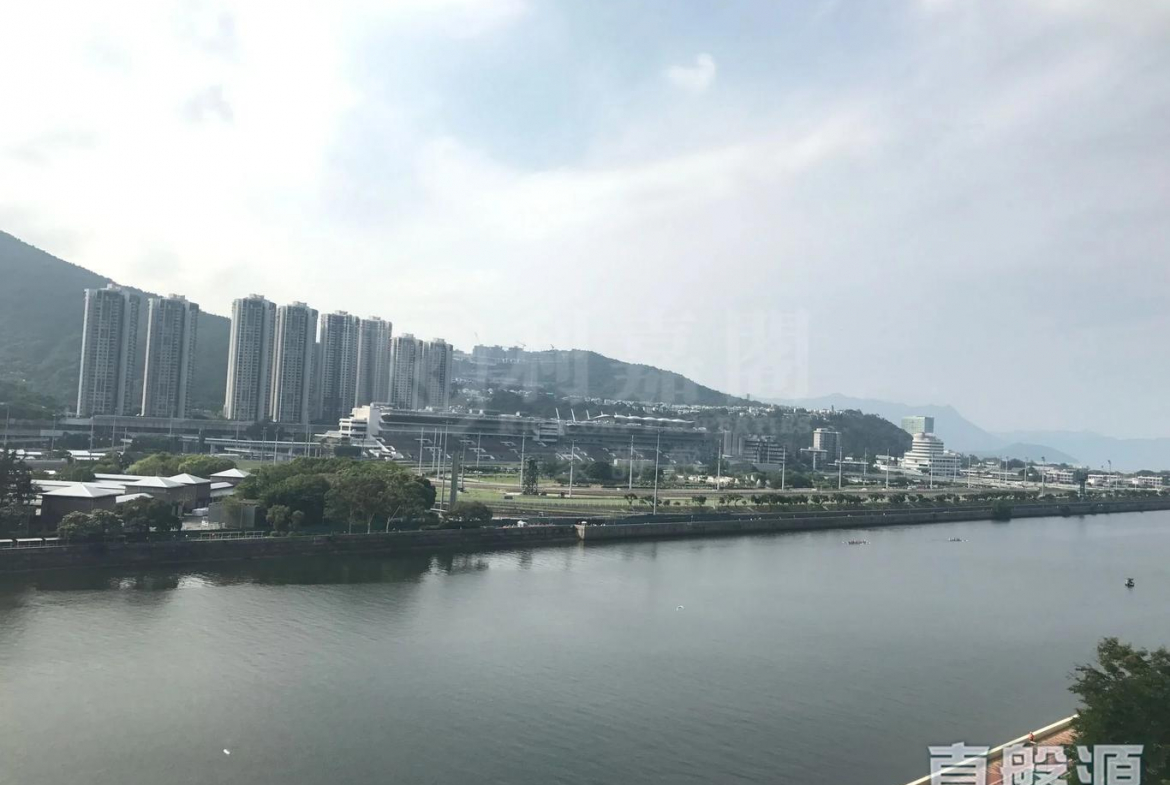 翠湖花園 1期 B座 - 28NTS – 香港北部都會區