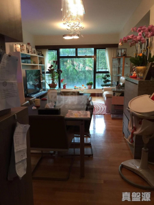 1770796817d48aef75-768c-4df2-87cc-3ccf1be03b4d.jpeg 滌濤山 10座 - 28NTS – 香港北部都會區