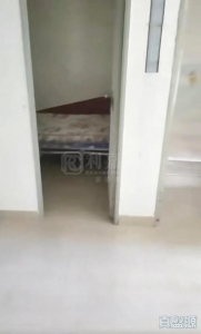 1770798540b08ce624-426c-456d-820d-3c8ad85c900b.jpeg 彩蒲苑 彩顏閣 (D座) - 28NTS – 香港北部都會區