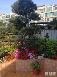 177079902905198789-6ae3-435c-a7c5-4d1656240e82.jpeg 帝欣苑 2期 21座 - 28NTS – 香港北部都會區