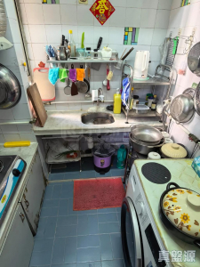 177079934234031f00-b5b3-4c65-9c15-4c77e8b39dbc.jpeg 翠麗花園 4座 - 28NTS – 香港北部都會區