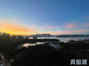 1770800390ffbef9c8-3b6f-4b6b-9408-314334ac0b30.jpeg 峻源 2座 - 28NTS – 香港北部都會區