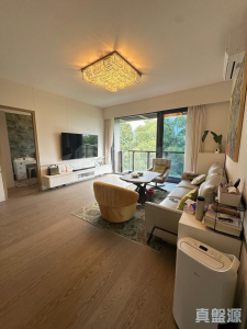 17708007227009adb3-9688-4bbd-8eb6-114f32ccab96.jpeg 林海山城 - 28NTS – 香港北部都會區