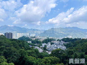 1770800892d491d982-d256-4869-a32d-4b6de1b8340a.jpeg 富豪‧山峯 2座 - 28NTS – 香港北部都會區