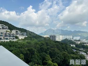 1770800893a53dbf91-41d6-4cd4-8479-ab529df975d0.jpeg 富豪‧山峯 2座 - 28NTS – 香港北部都會區