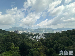 1770800896d97a853b-e941-4293-846b-018684829c79.jpeg 富豪‧山峯 2座 - 28NTS – 香港北部都會區