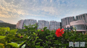 177080091885a57981-5362-4355-b6e1-7b1ddb53f329.jpeg 曉翠山莊 10座 - 28NTS – 香港北部都會區