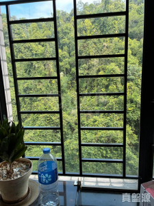 1770800919f2cdf447-d919-4145-beb1-368fb79da6cf.jpeg 曉翠山莊 10座 - 28NTS – 香港北部都會區