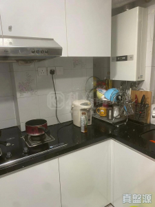 17708013810f2ca5e4-2931-4c1b-92b1-840e43535a02.jpeg 好運中心 松林閣 (A1座) - 28NTS – 香港北部都會區