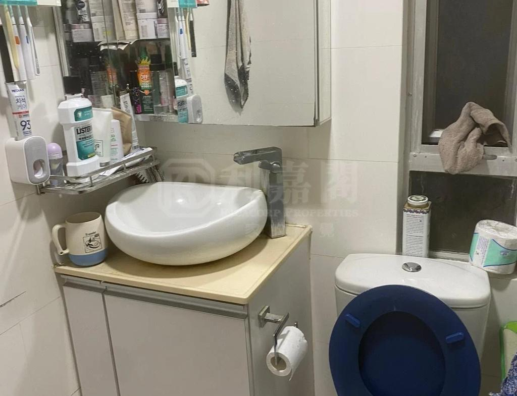 好運中心 松林閣 (A1座) - 28NTS – 香港北部都會區