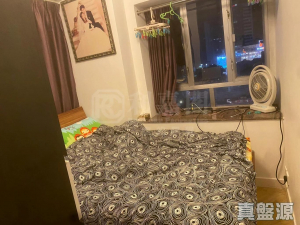 177080139099fc749c-f987-49e1-9b61-d99f1598cca1.jpeg 好運中心 松林閣 (A1座) - 28NTS – 香港北部都會區