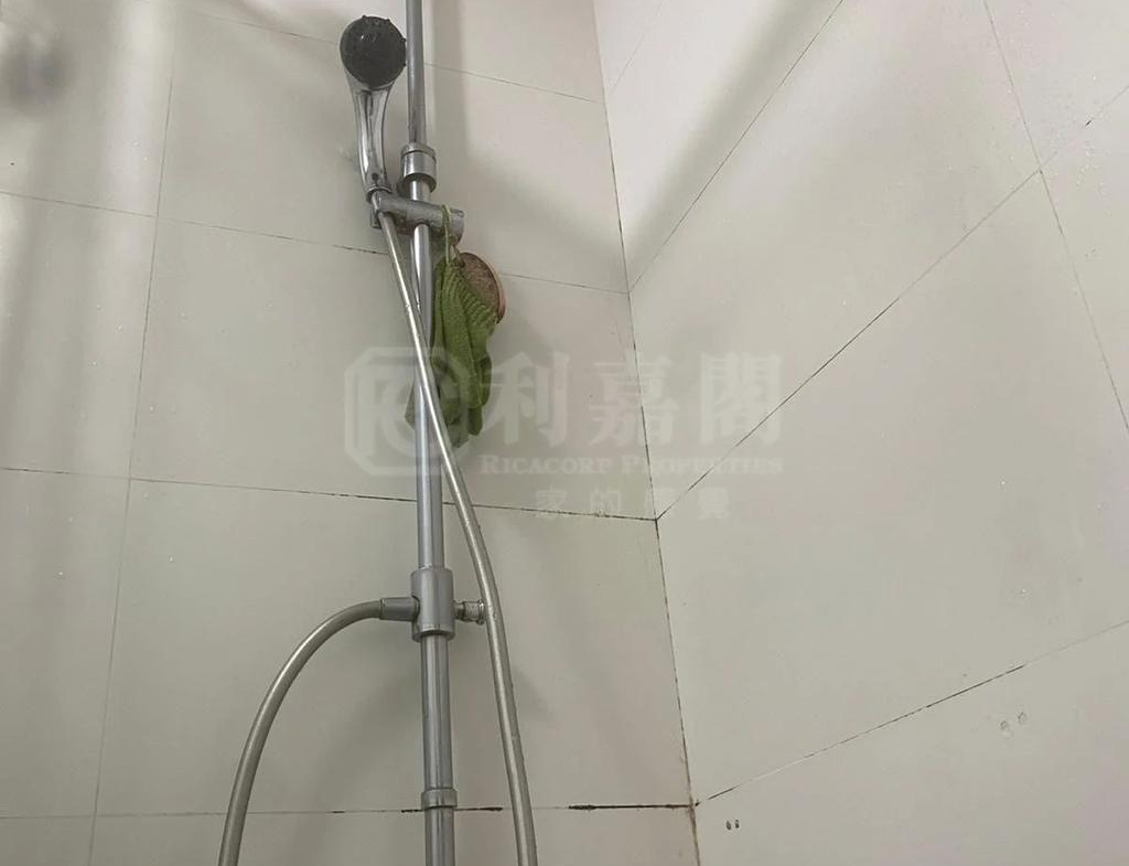 好運中心 松林閣 (A1座) - 28NTS – 香港北部都會區