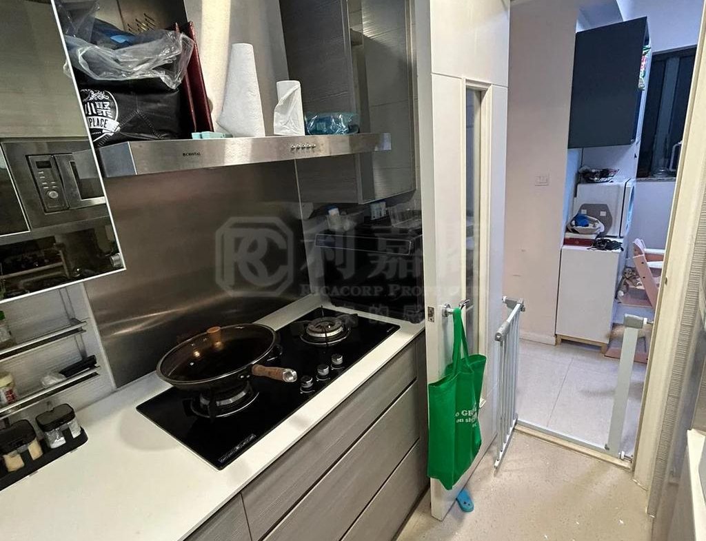 嵐山 2期 1座 - 28NTS – 香港北部都會區