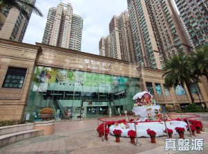 1770804803e4ec1f70-eb5b-42fe-8f7e-c233bbdcca73.jpeg 綠悠軒 7座 - 28NTS – 香港北部都會區