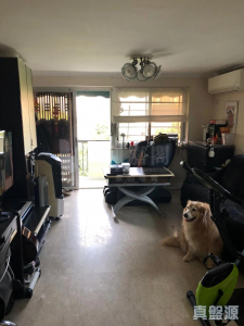 17708058112cc35363-add3-4479-8019-bb397025455d.jpeg 排頭村 222A號(A座) - 28NTS – 香港北部都會區