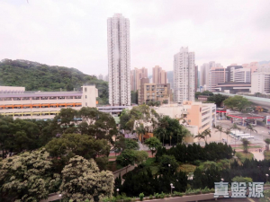 17708059227e4520bb-c745-42a1-9b04-1de164115b84.jpeg 花園城 3期 雅蕙苑 (A座) - 28NTS – 香港北部都會區