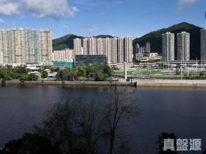 177080650612546623-0b94-4eaa-9f02-602bcc07471d.jpeg 碧濤花園 1期 金蘭閣 (3座) - 28NTS – 香港北部都會區