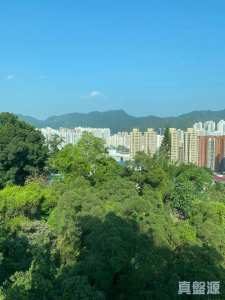 1770806573e2e6b11d-f70b-401f-8457-41b523d1ff2d.jpeg 曉翠山莊 8座 - 28NTS – 香港北部都會區