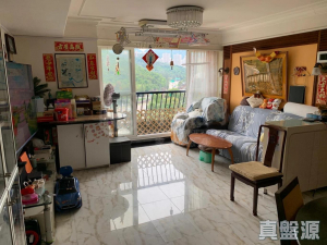 177080700567262282-7826-4094-9d7b-d9db8b0e9348.jpeg 碧濤花園 2期 都美閣 (D座) - 28NTS – 香港北部都會區