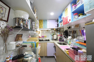 17708339715b971fd9-bdd9-4ea9-bf99-225e7ecea1c7.jpeg 彩暉花園 A座 - 28NTS – 香港北部都會區