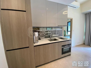 177083922975f7bacf-fdd5-4d60-aa38-70406180c54a.jpeg WETLAND SEASONS PARK 3期 1座 - 28NTS – 香港北部都會區