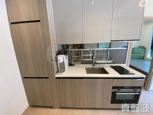 177083923083f39793-06cf-45d1-ba86-13eb1535f089.jpeg WETLAND SEASONS PARK 3期 1座 - 28NTS – 香港北部都會區