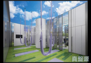 17708436023a63dbd8-03fa-4c1f-be50-004cfc6f47af.jpeg 帝御 2期 帝御‧星濤 2座 - 28NTS – 香港北部都會區