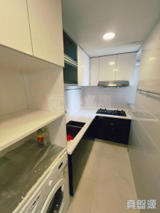 17708437447b50da36-2f4e-4bde-9443-21b8f1f9f39e.jpeg 麗都花園 5座 - 28NTS – 香港北部都會區