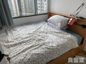 1770846612b60924e6-c065-48d2-a19c-bbf69a426bb8.jpeg 長安邨 安潤樓 (9座) - 28NTS – 香港北部都會區