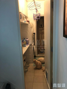 1770847232d7913528-c6fe-4d74-b98c-cf8664d49c09.jpeg 愉景灣 15期 悅堤 L1座 - 28NTS – 香港北部都會區