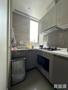 177084810750269031-d407-4126-be4b-9071ea067f31.jpeg NAPA 3座 - 28NTS – 香港北部都會區