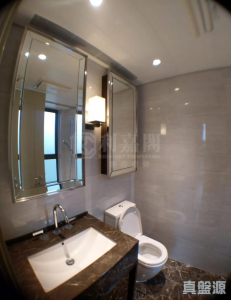 1770848815a170b925-9cba-44ff-87ad-b2a9a437f524.jpeg NAPA 3座 - 28NTS – 香港北部都會區