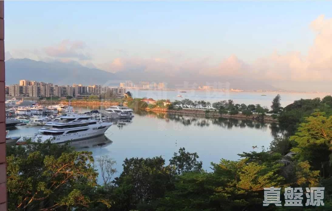 香港黃金海岸 5座 - 28NTS – 香港北部都會區