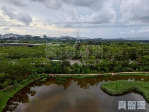 17708562633f238a84-9193-40f4-bad5-bad42b0b0f81.jpeg 峻巒 1C期 PARK YOHO SICILIA 1B座 - 28NTS – 香港北部都會區