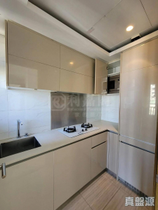 17708571342c6b3316-0063-4c02-979b-bbeea32cf466.jpeg 尚悅 11座 - 28NTS – 香港北部都會區