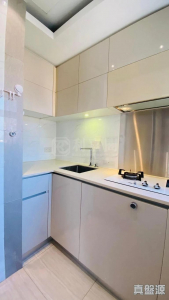 1770859065344cdab9-0f86-46e6-8090-543ba97688ca.jpeg 尚悅 7座 - 28NTS – 香港北部都會區