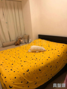 1770859926da3ec185-e392-455d-8769-f6f3e867a0c4.jpeg 尚悅 1座 - 28NTS – 香港北部都會區