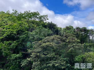 177086312315ca7e39-c5c7-4a51-bfd8-ba203fc37cc2.jpeg 明翹匯 1A座 - 28NTS – 香港北部都會區