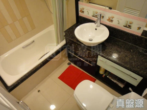 177086449445a3613a-84f2-4067-9af1-a59c7e2c2bee.jpeg 映灣園 2期 映濤軒 7座 - 28NTS – 香港北部都會區