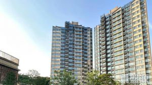 1770909155b57e84df-c11c-4302-bb29-95cffc39c733.jpeg 飛揚 2期 5座 - 28NTS – 香港北部都會區