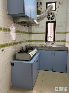 1770910270ad5cfe7c-a5ea-46d2-a297-51480ff1df3d.jpeg 綠楊新邨 B座 - 28NTS – 香港北部都會區